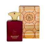 عطر جیبی مردانه برندینی مدل Journey حجم ۳۳ میلی لیتر