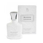 عطر جیبی زنانه و مردانه برندینی مدل Silver Mountain حجم ۳۳ میلی لیتر