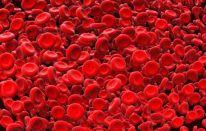 گلبول های قرمز خون