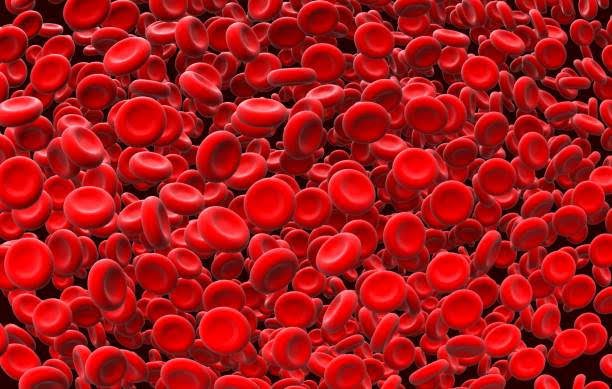 گلبول های قرمز خون